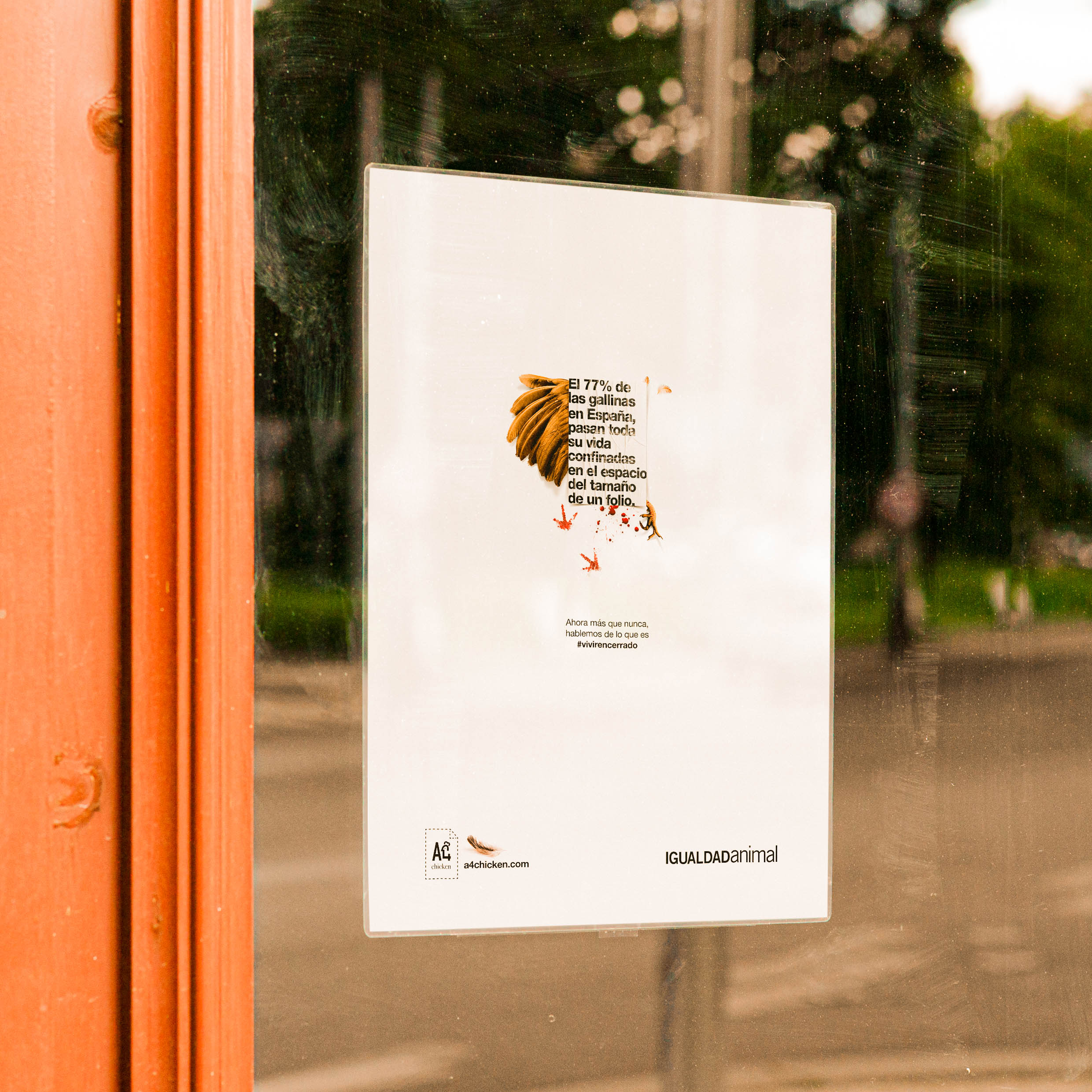 Animal Equality A4Chicken insight visual.